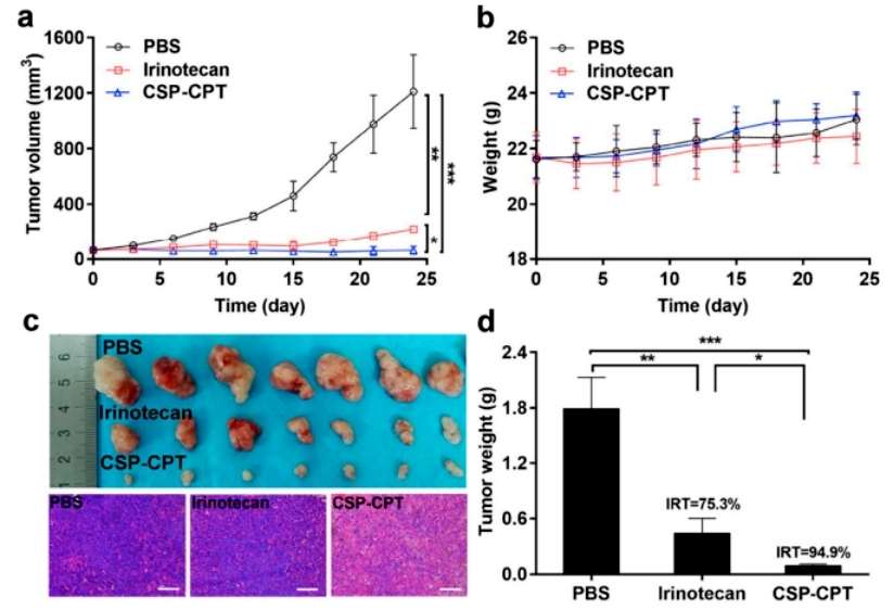 Advancements in Protein lipidation Research